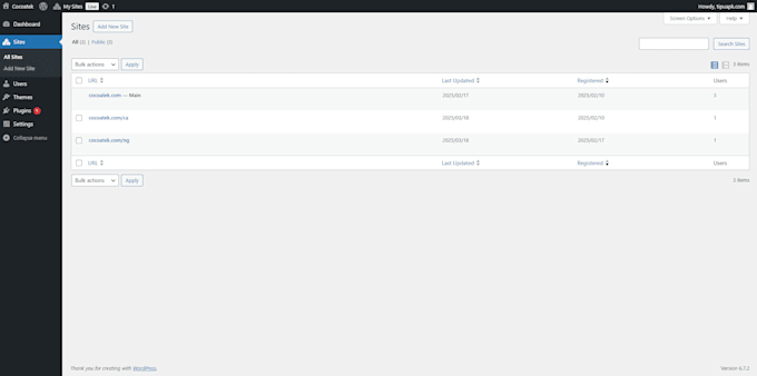 set up wordpress multisite network with custom subsites and domain map