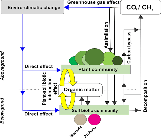 design scientific figure and graphical abstract