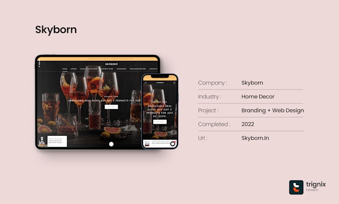 be your shopify expert for developing shopify store and store graphics