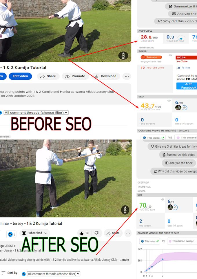 Do best youtube seo for channel and videos ranking top by Muhammad_2024