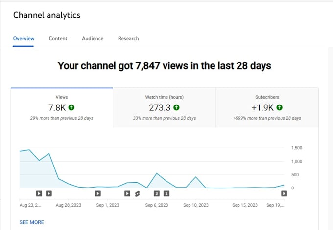optimize your channel for monetization success