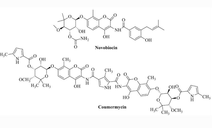 do scientific illustrations, graphical abstracts