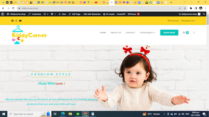 create autopilot amazon, alibaba affiliate or drop shipping website