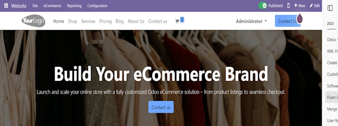 implement odoo erp in your company