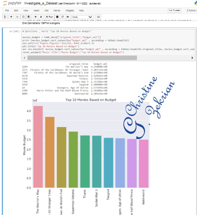 Perform expert python data analysis by Christine_z13 | Fiverr