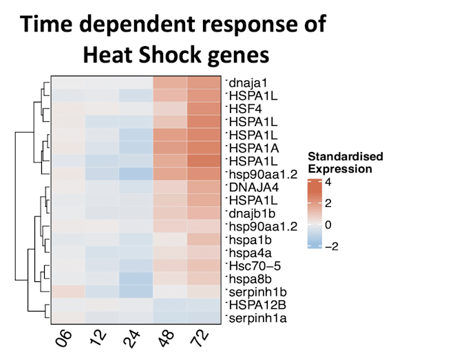 analyse rnaseq time series data