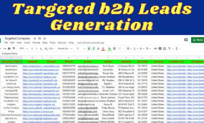 provide targated b2b lead generation