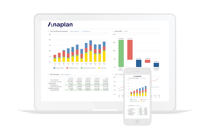 elevate your business planning with expert anaplan model building