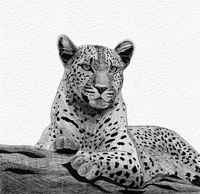draw any type of custom ink illustrations and pencil sketches for you