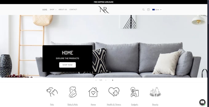 built your shopify store