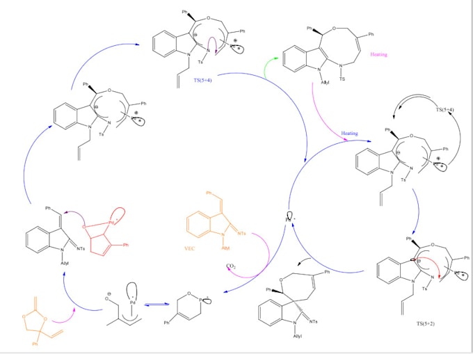 teach organic chemistry , inorganic chemistry and general chemistry