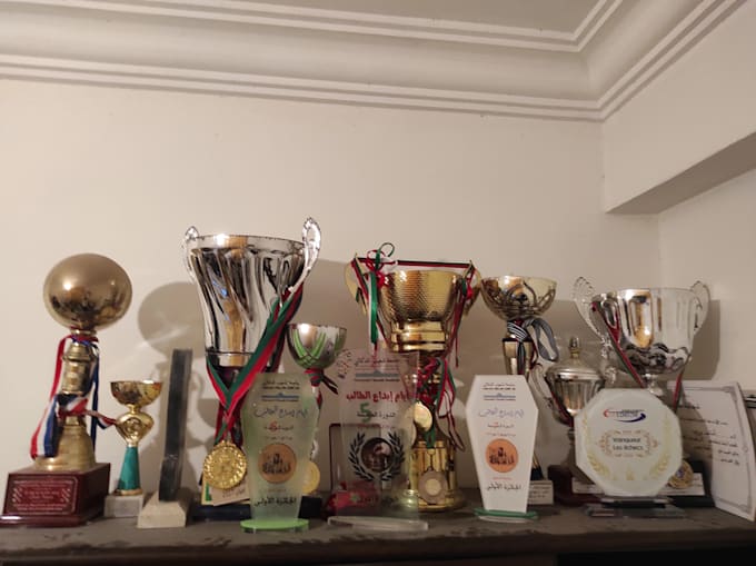 provide professional chess coaching tailored to you