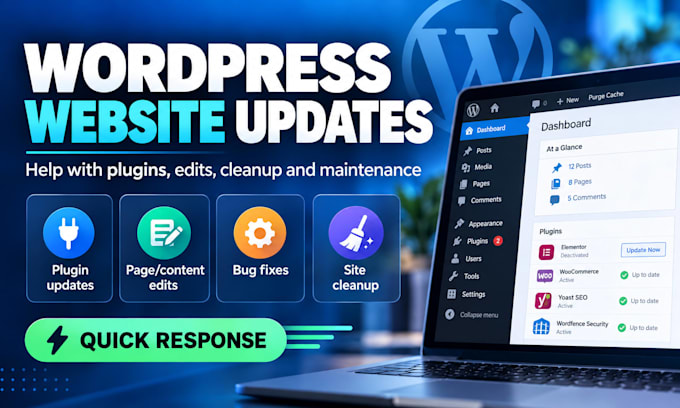 assist by updating your wordpress website
