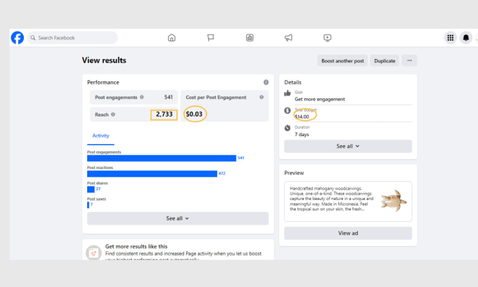 be your expert facebook paid ads, campaign manager