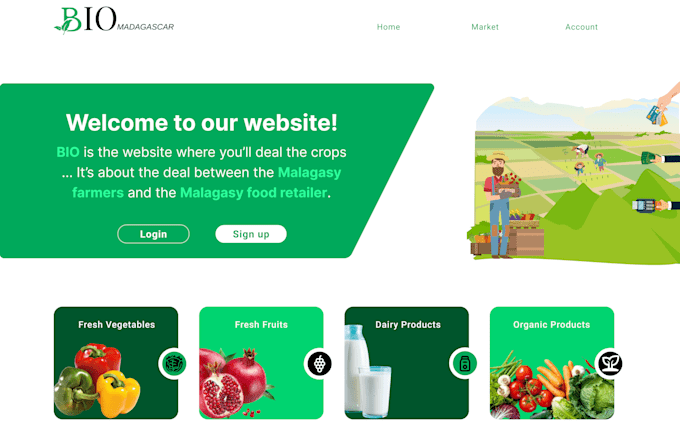 create websites, web applications backend and frontend