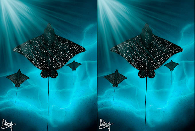 illustrations of the ocean, fish and marine animals