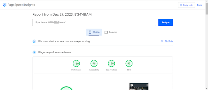 speed optimization wordpress website for google pagespeed insights