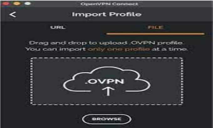setup datadog and free openvpn server on AWS