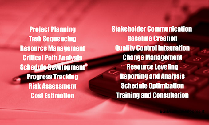 teach you professional scheduling using primavera p6