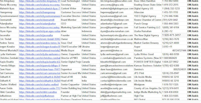 do data entry, lead generation, ,b2b lead generation