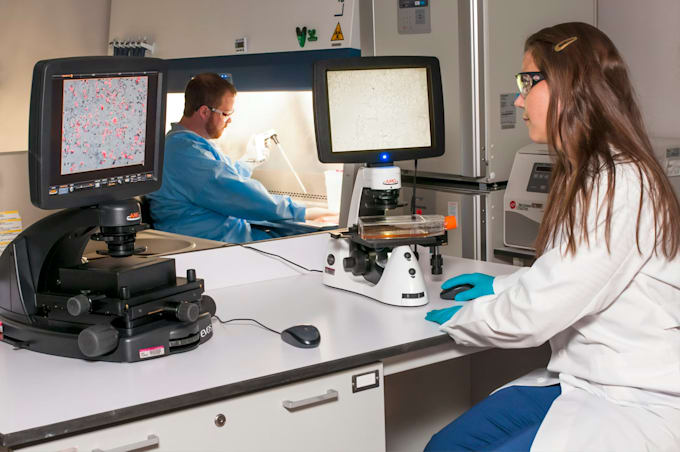 do medical billing, insurance coding, credentialing services