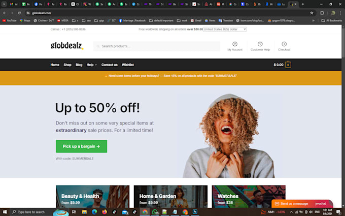 create a professional automated dropshipping wordpress store