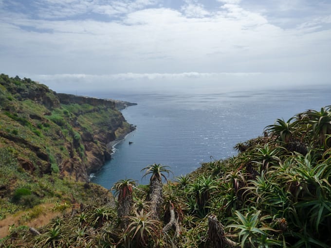 plan your trip to madeira