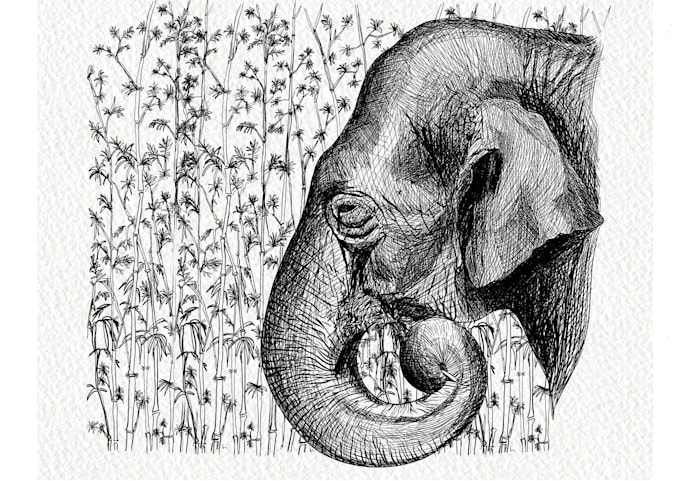 draw the best and unique black and white ink illustrations