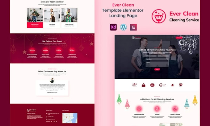 build ecommerce website or wordpress website design