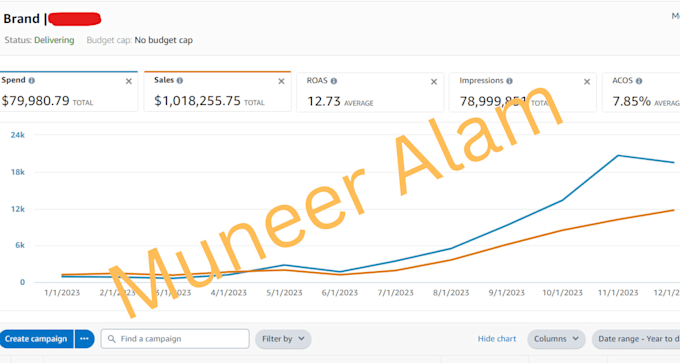 be your amazon PPC specialist for campaign audit management and optimization