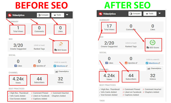 do the best youtube video SEO expert