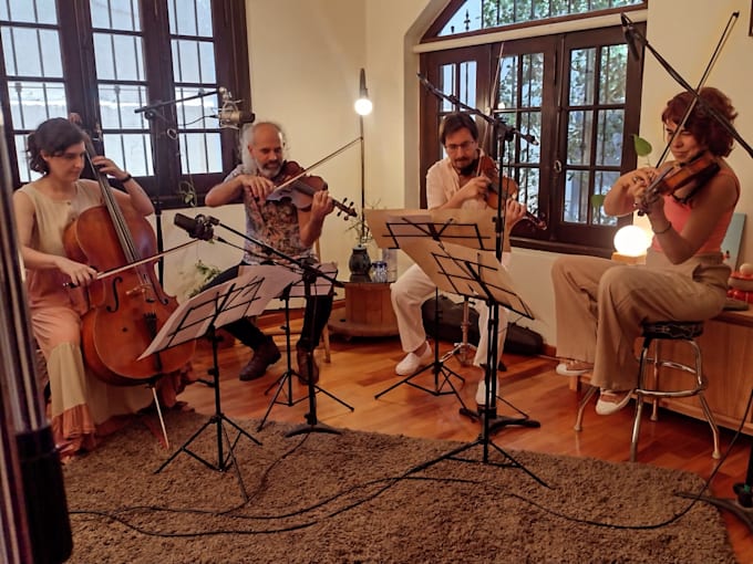 teach online violin lessons