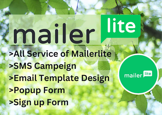 setup your mailerlite email marketing and design landing pages