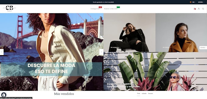 create, design or redesign shopify store or shopify dropshipping website