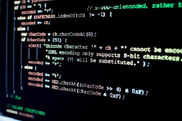 do custom php, jquery, js and ajax work