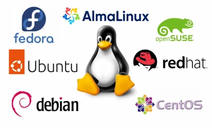 install and setup your server according to your requirements