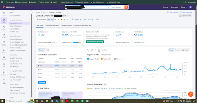 perform professional on page and technical SEO for your website