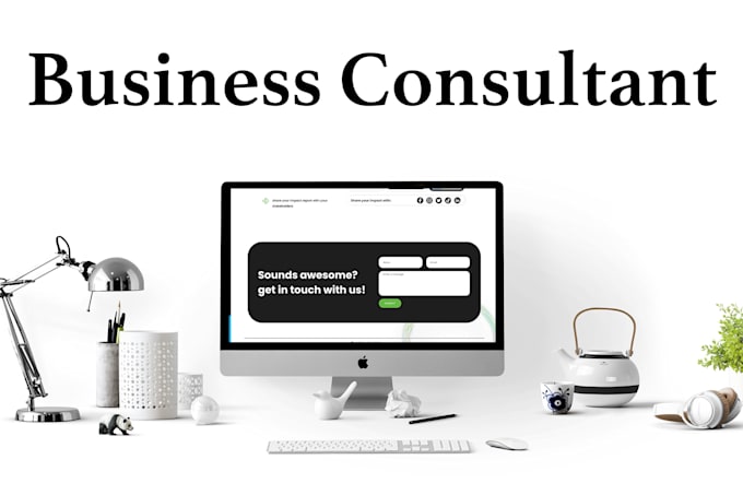 give professional website consulting for your business