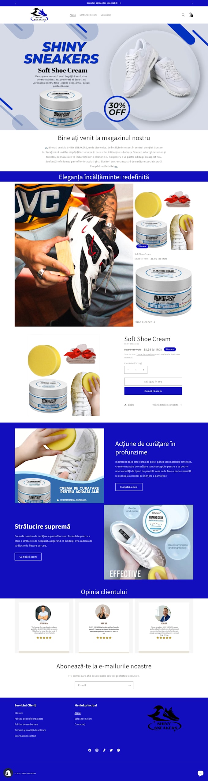 create a one product shopify dropshipping store and shopify website
