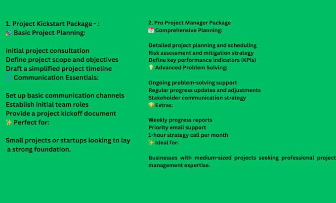expert project manager for planning cost control fast delivery