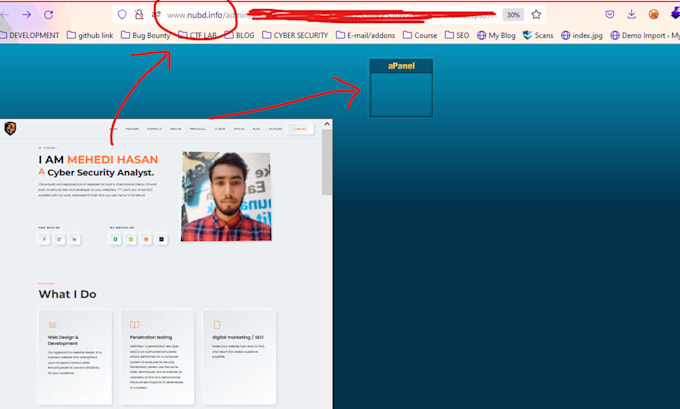 do vulnerability assessment and penetration testing your website