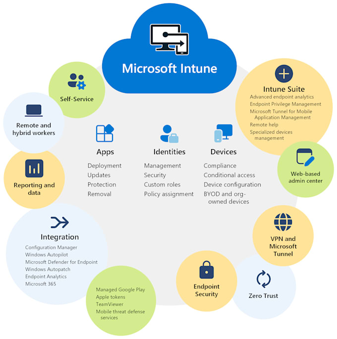 provide expert microsoft intune support