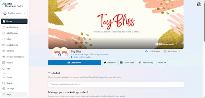be your facebook ads campaign manager, run fb ads campaign