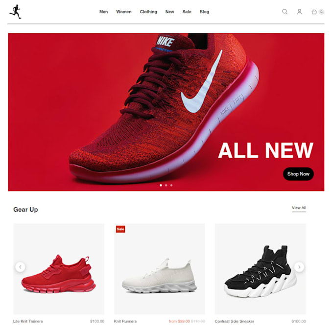 professionally build and design your shopify store and ecommerce website