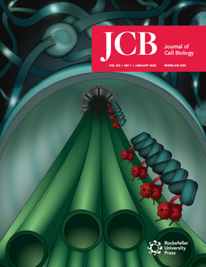 design scientific covers and graphical abstracts