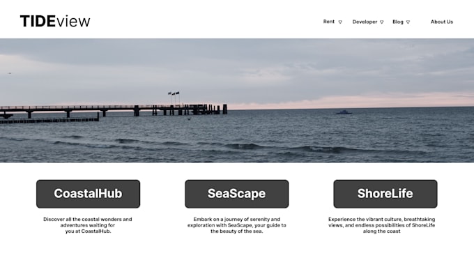 create your custom angular website