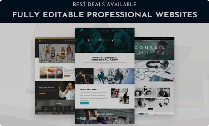 build professional websites using react, nodejs, express js, mongodb and next js