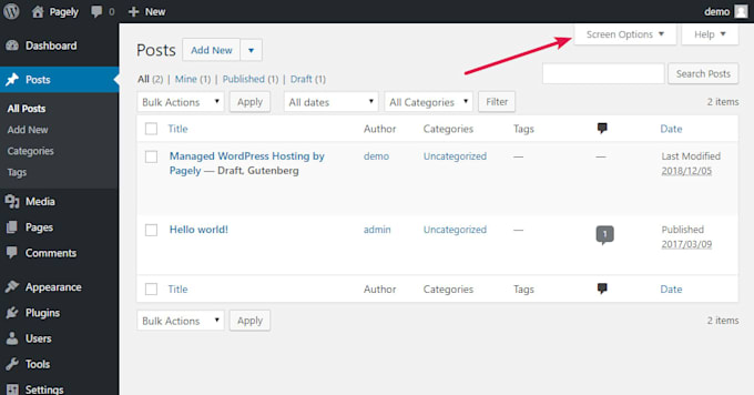 fix wordpress and divi theme issues, errors, or bugs in 1 hour