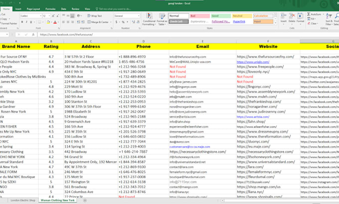 do professional data entry, data scraping, copy paste, data mining services