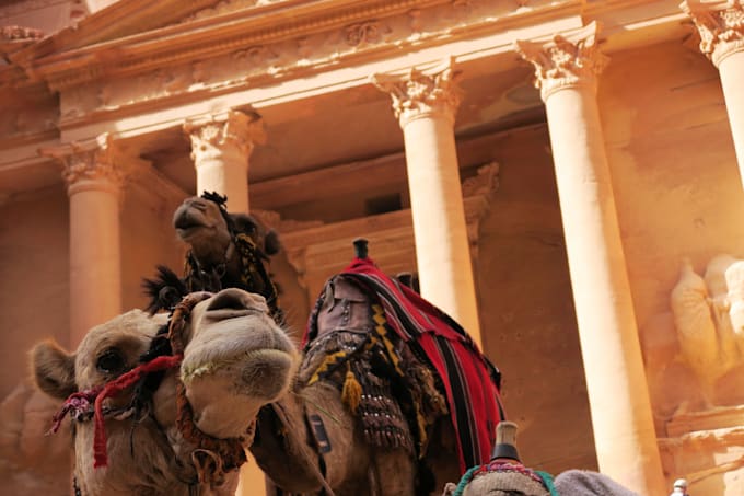 plan your trip for you